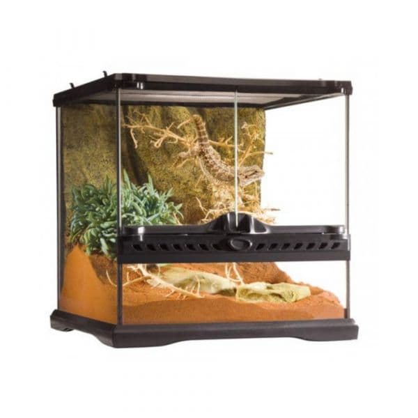 Exo Terra Terrario Réptil 30x30x30cm