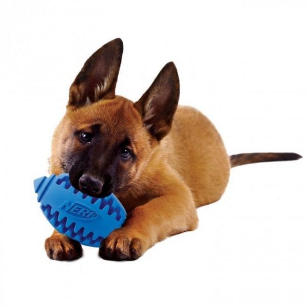 Nerf Binquedo Cão Teether Football S Red