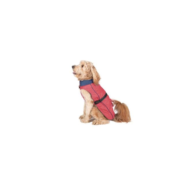 Dog Gone Smart Gabardina Coral e Acacia 40 cm