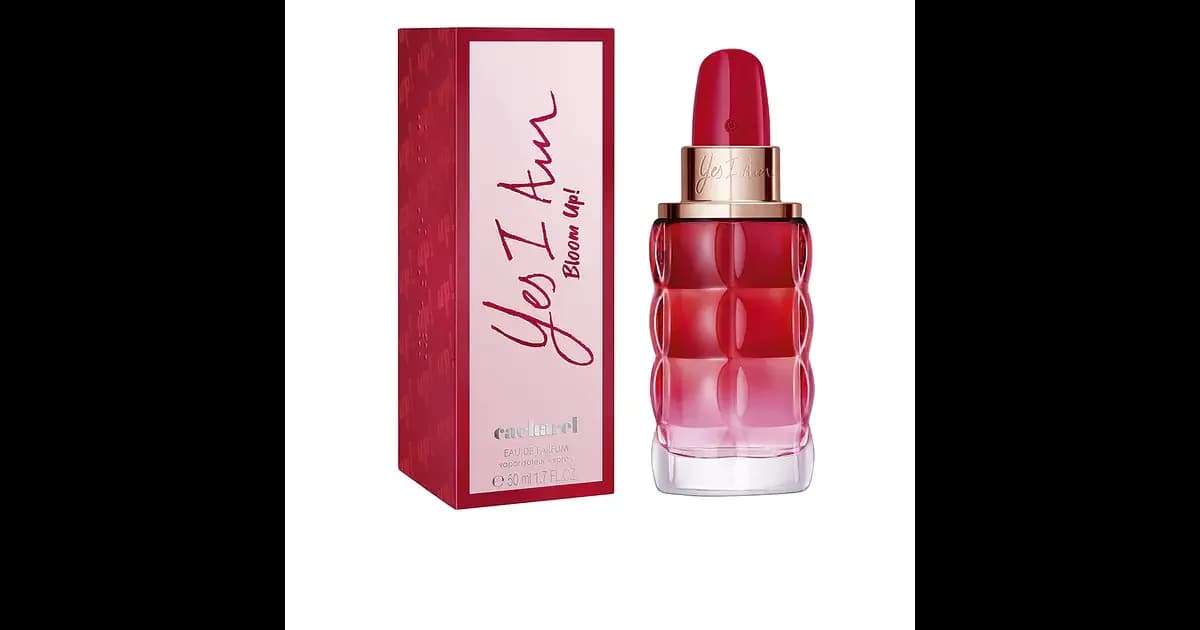 Cacharel Yes i Am Bloom Up Eau de Parfum 50ml (Original)