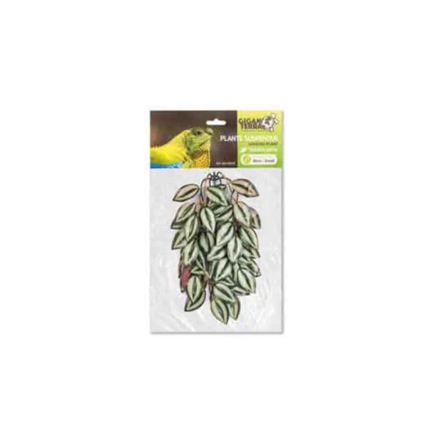 Planta Suspensa Tradescantia 45cm