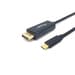 Equip Cabo 133427 USB-C para DisplayPort 4K 60Hz 2m Preto