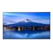 Sharp 55" PN-P556 LED Monitor Videowall 4K Ultra HD IPS