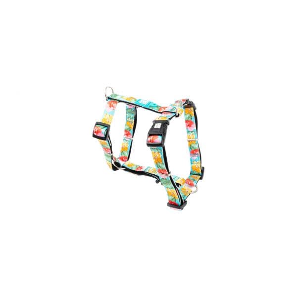Max & Molly Peitoral Exotique S