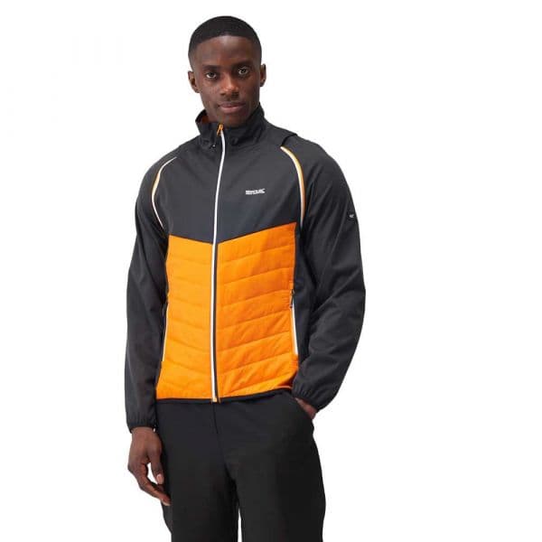 Regatta Steren Hybrid Softshell Jacket Laranja L Homem