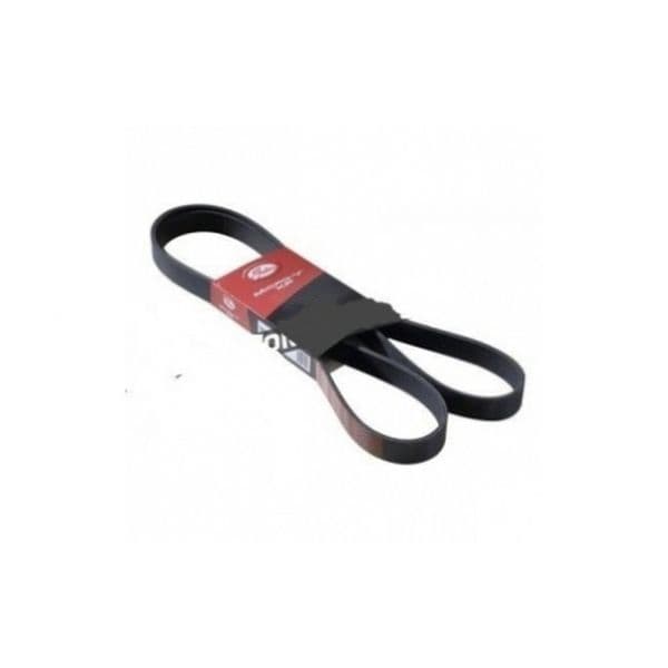 Gates 6224MC - Correia trapezoidal estriada - 5412571000542