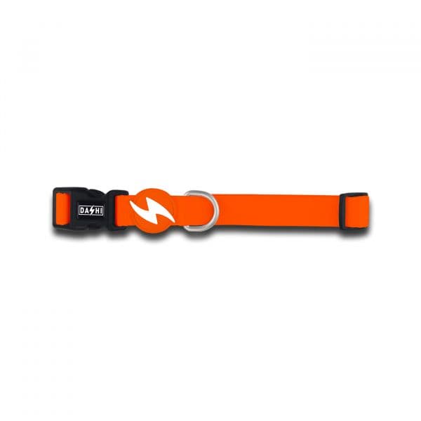 Dashi Coleira Laranja XS