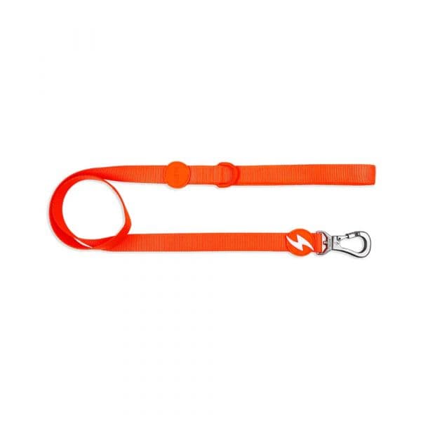 Dashi Trela Neon S Laranja