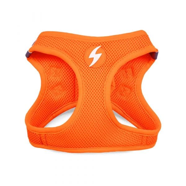 Dashi Oxy Mesh Neon Laranja XL