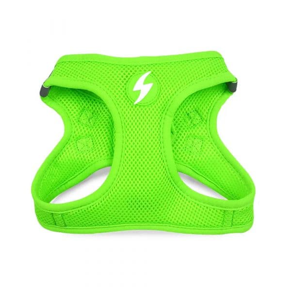Dashi Oxy Mesh Neon Verde Lima M