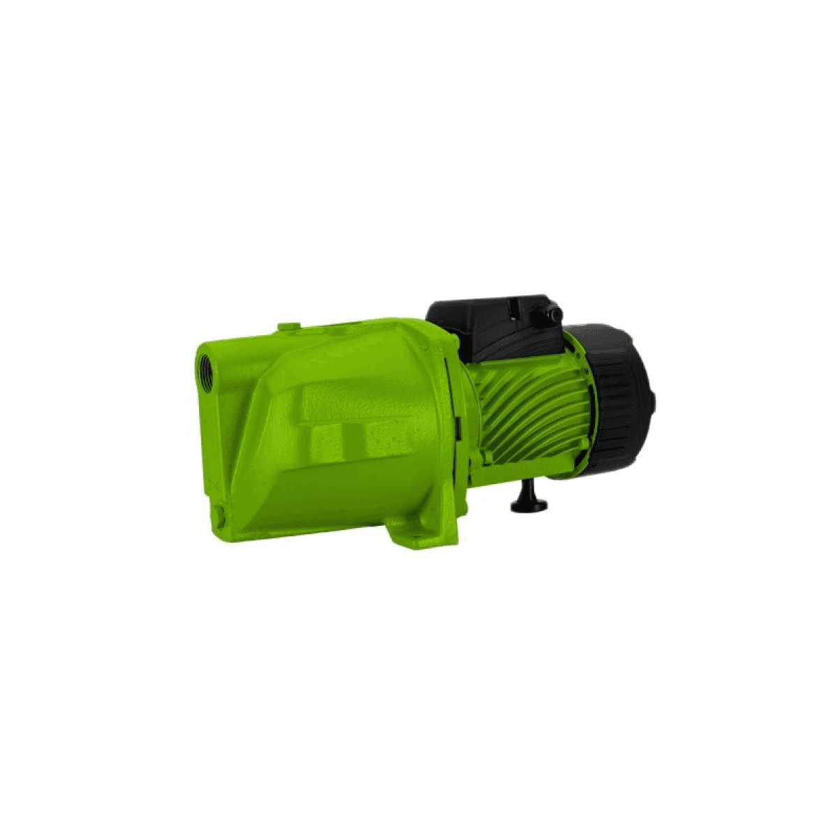 ELETROBOMBA AUTO-FERRANTE 750 W