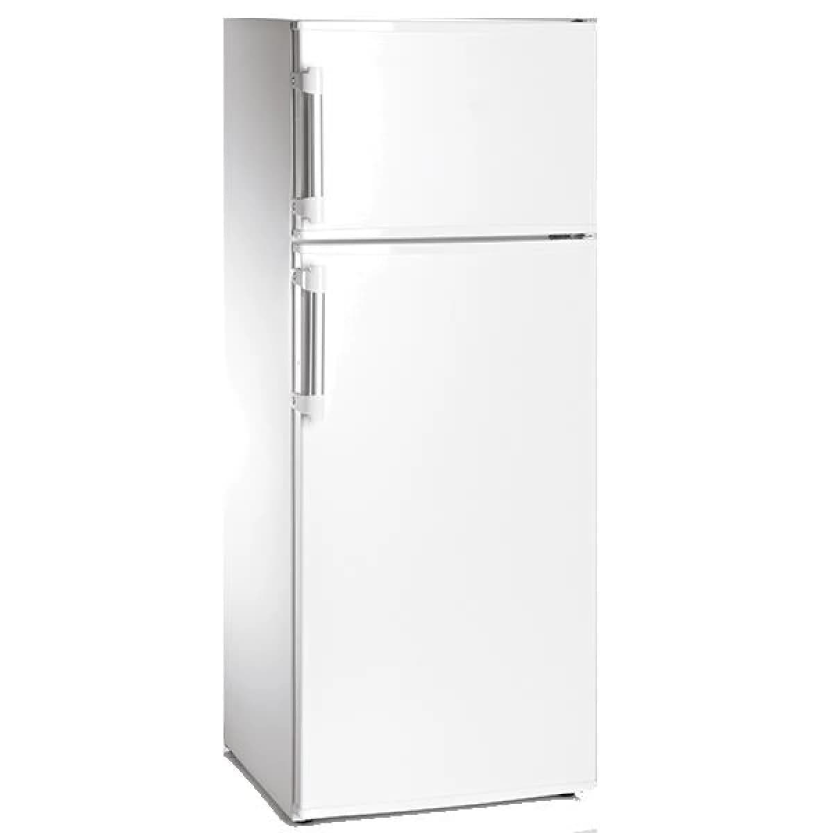 Frigorífico 2 Portas Com Congelador Starlux SXF245 227L Classe E