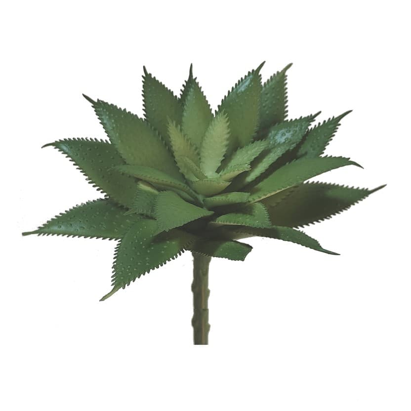 Produto sem titulo