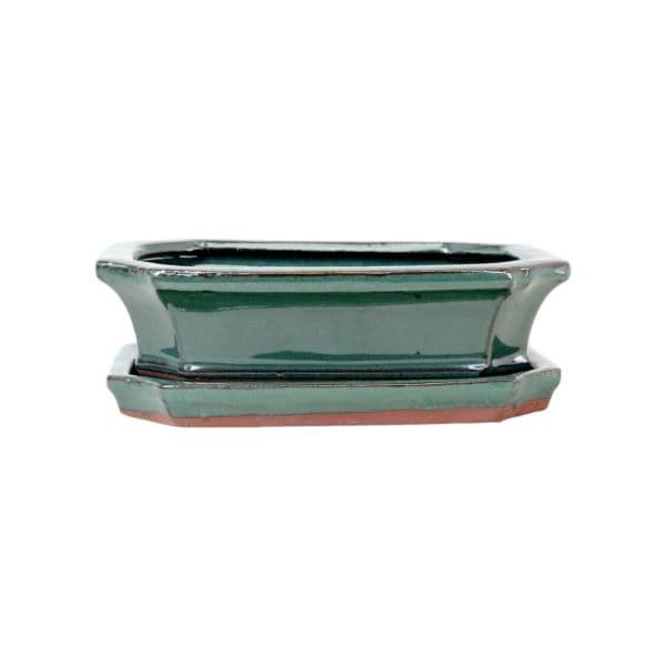 Luso Bonsai Vaso de Bonsai Rectangular + Prato 21*16*7 cm Verde - Yixing - 83834