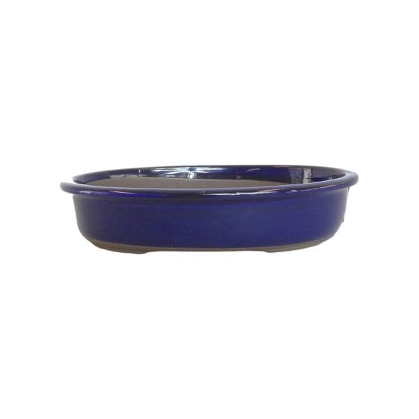 Luso Bonsai Vaso de Bonsai Oval 28*21*5 cm Azul - Japão - 84052
