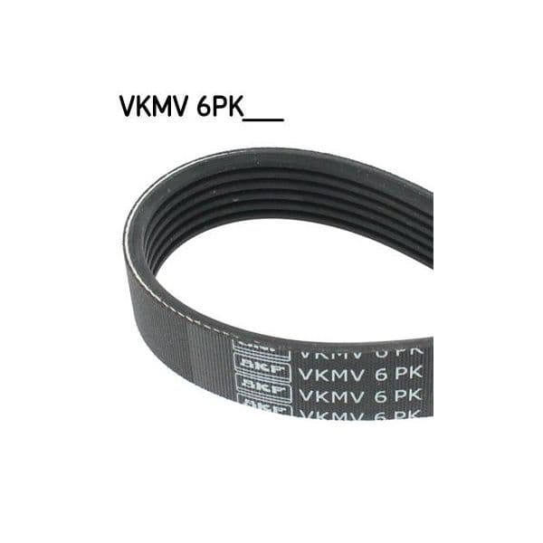 Skf Correia Trapezoidal Estriada Vkmv 6PK1062 7316573396901