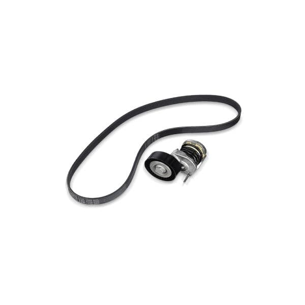 SKF Jogo de correias trapezoidais estriadas (542/2869) - VKMA 35128