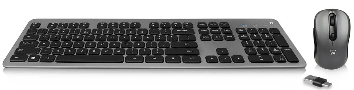 Teclado Ewent e Rato EW3259 Silent Wireless Cinza