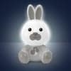 Chicco First Dreams Luz Coelhinho