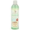 Armonia Champô Escolar Prevenção 300ml | Saude Mayor