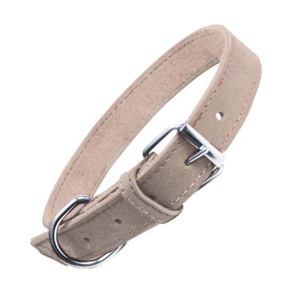 Gloria Pets Coleira Oasis Branco (55 x 2,5 cm)