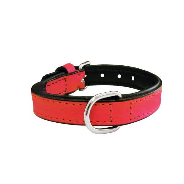 Gloria Pets Coleira Acolchoado Laranja (50 x 2,5 cm)
