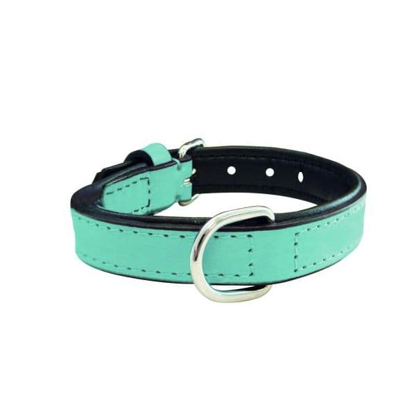 Gloria Pets Coleira Acolchoado Azul (45 x 2 cm)