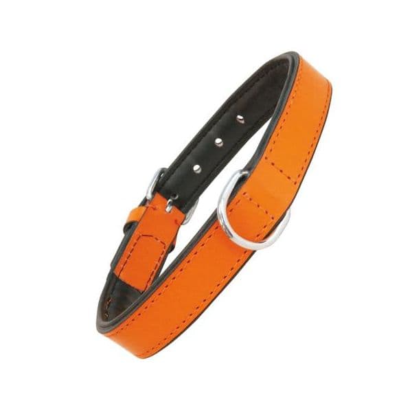 Gloria Pets Coleira Acolchoado Coral (45 x 2 cm)