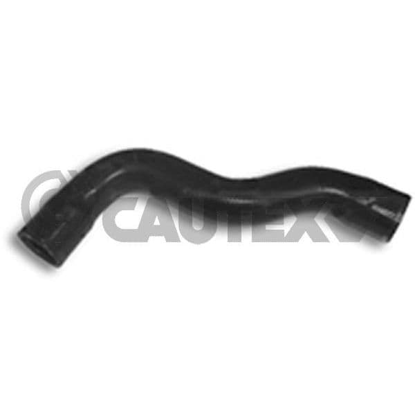 Cautex Tubo Flexível do Radiador - 036446