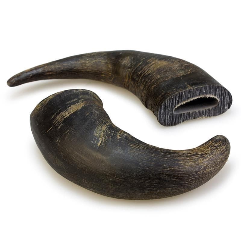 Arquivet Snack Dental Corno de Búfalo 20cm