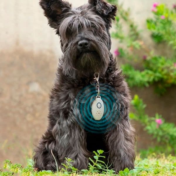 Innovagoods Repelente de Parasitas Por Ultrassom Recarregável para Animais de Estimação Petrep - V0103219