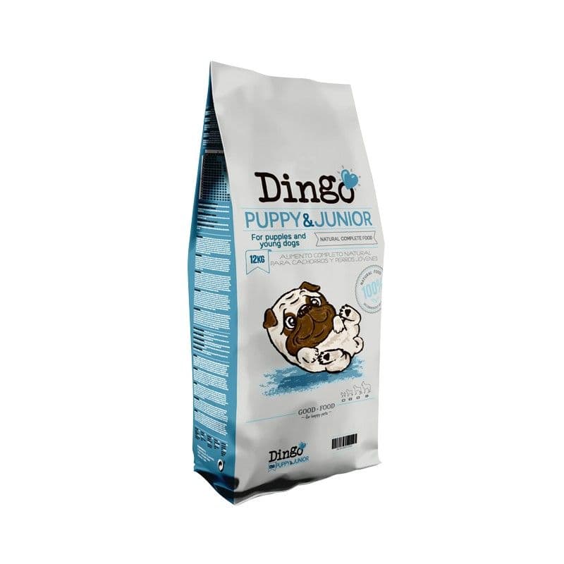 Dingo Puppy &amp; Junior