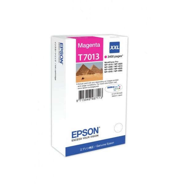 Tinteiro Epson C13T70134010