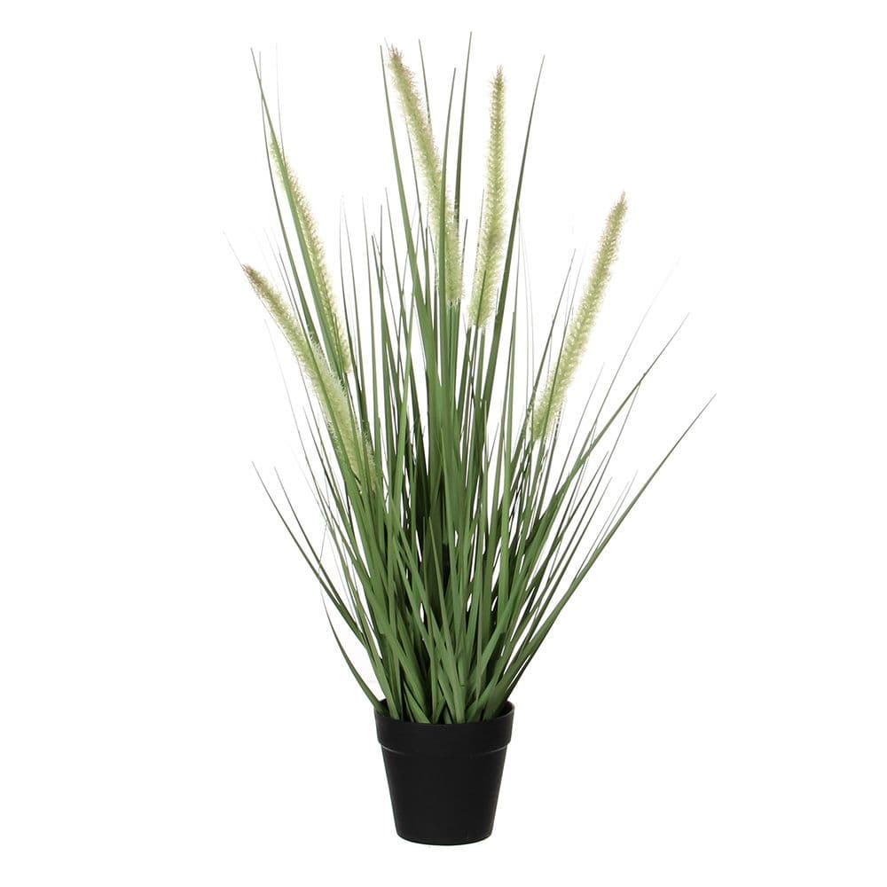 DOGTAIL GRAS VIOLETA PVC