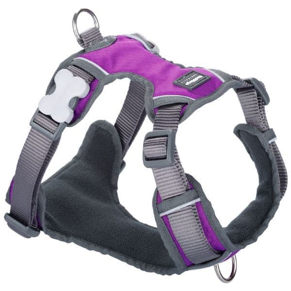 Red Dingo Arnês Dingo Roxo 25-36 cm 31-43 cm