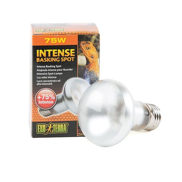 Exo Terra Lâmpada Luz Solar Intense Basking Spot 25W - PT2196