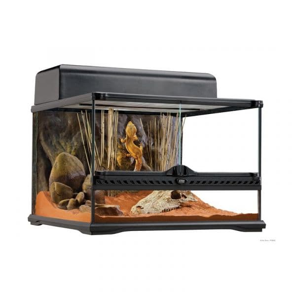 Exo Terra Terrário Vidro 45x45x30 (PT2603)