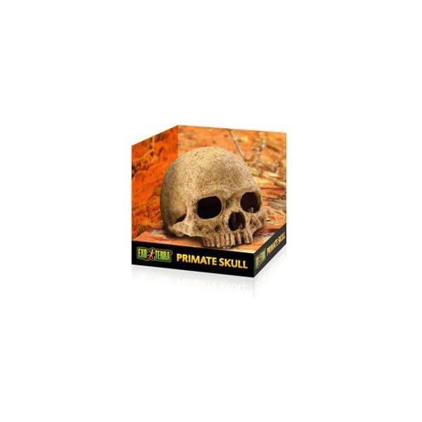 Exo Terra Refúgio Primate Skull - PT2855