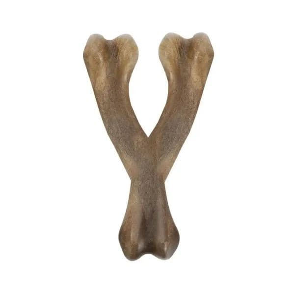 Zeus Osso Strong Nosh Wishbone Y Sabor a Frango 18 cm