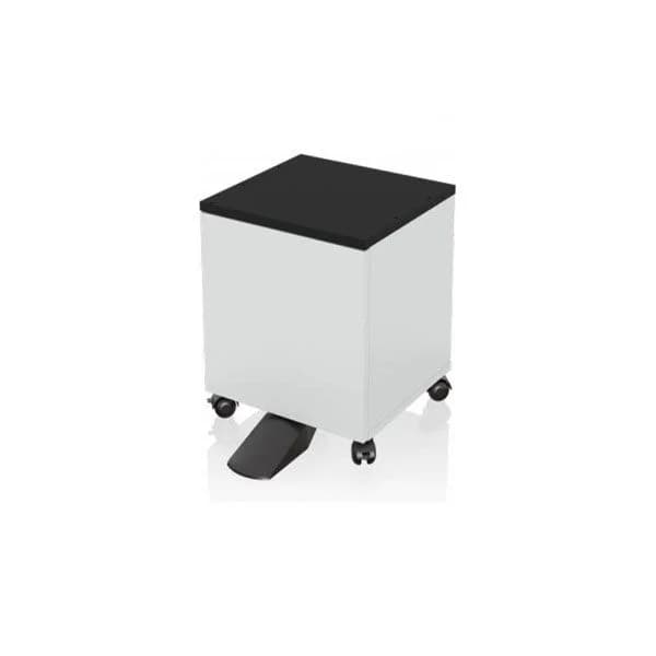 Epson Low Cabinet Wf-c529r Serie