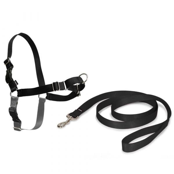 Easy Walk Peitoral M Preto
