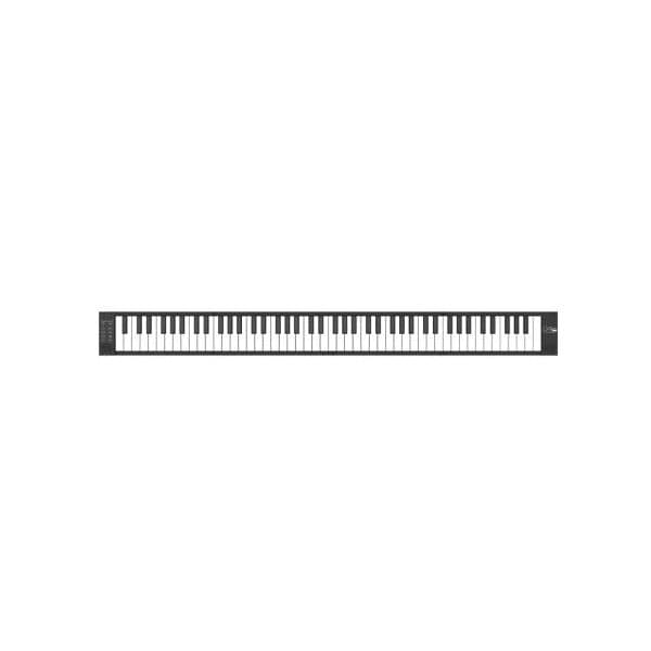 Carry On Piano Digital Portátil 88 Teclas Preto