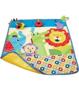 Fisher-Price Manta de Passeio - DYW52