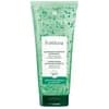 RENÉ FURTERER FORTICEA CHAMPÔ ENERGIZANTE 200 ml | Saude Mayor