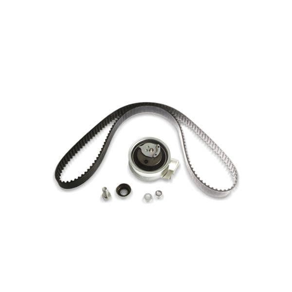 INA Jogo de Correias Dentadas (307/8816) - 530 0551 10