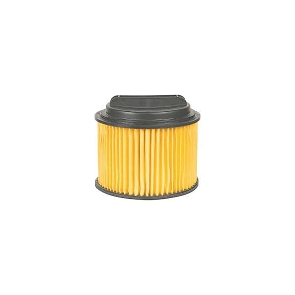 Filtro Einhell Pleated Filter / Plissado com Tampa Yellow | para: Vacu