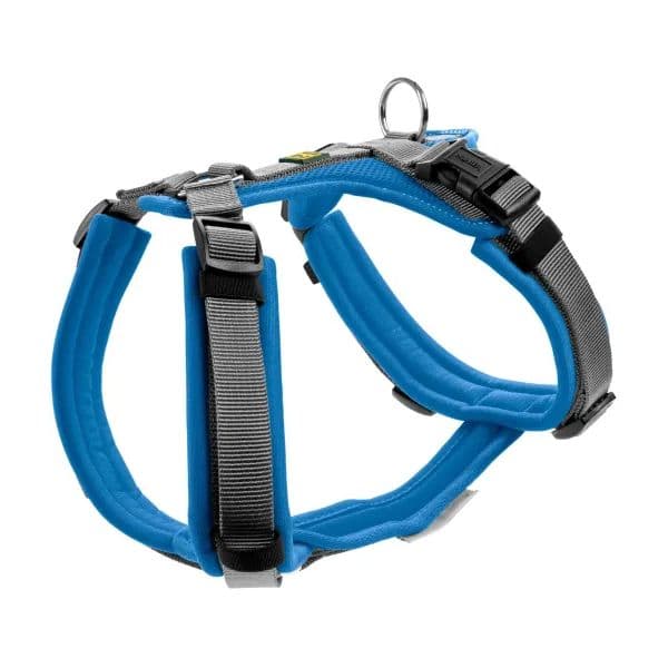 Hunter Arnés Maldon Azul e Gris M-L