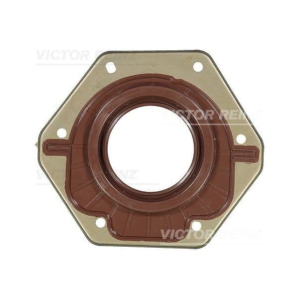 REINZ Retentor, Cambota - 81-10173-00