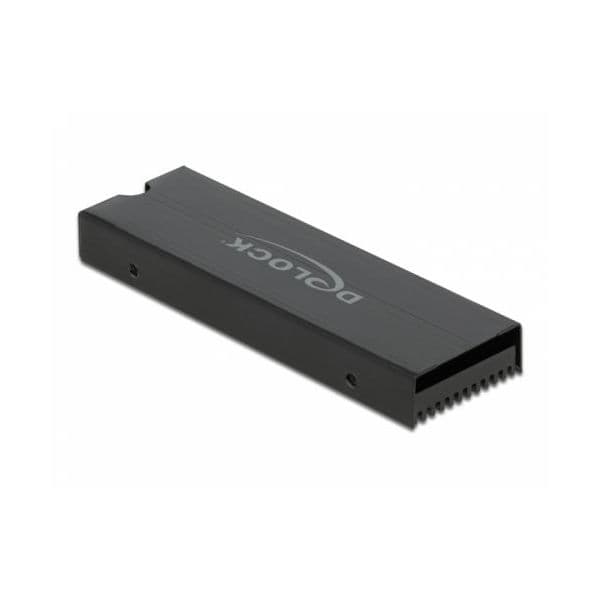 DeLOCK + 2 SSD 2280 Preto Cooler Passivo - 18353