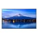 Sharp P506 Plasma digital 127 cm (50") 700 cd/m² Preto 24/7